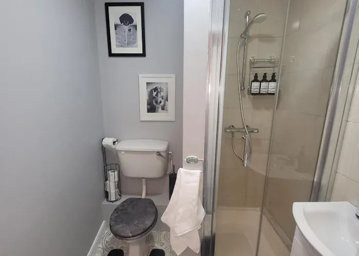 Quirky Tiny In Kerry Appartement *